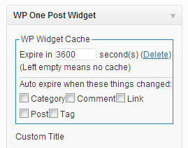 WP Widget Cache Einstellungen